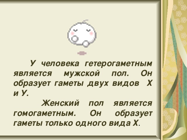  У человека гетерогаметным является мужской пол. Он образует гаметы двух видов Х и У.  Женский пол является гомогаметным. Он образует гаметы только одного вида Х . 