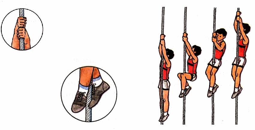 Навык лазания. Лазание по канату. Гимнастика лазание по канату. Подтягивание на канате. Лазанье по канату в три приёма.