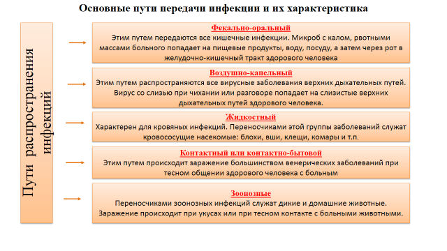 Инфекционные заболевания их особенности и меры профилактики обж 10 класс презентация