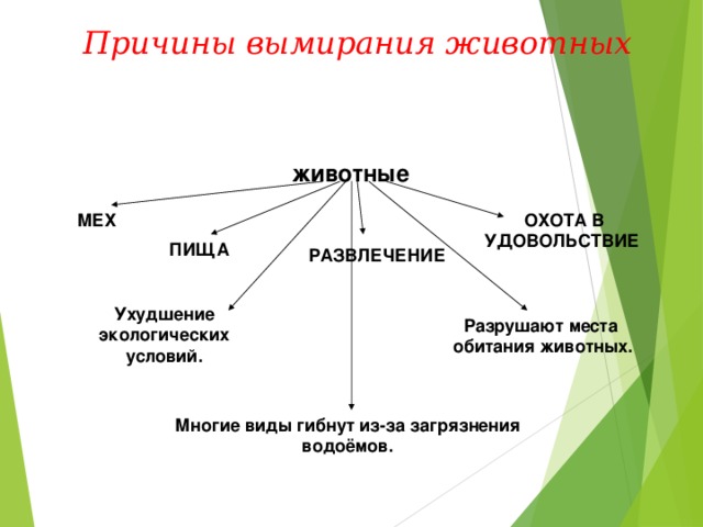 Причины вымирания видов презентация