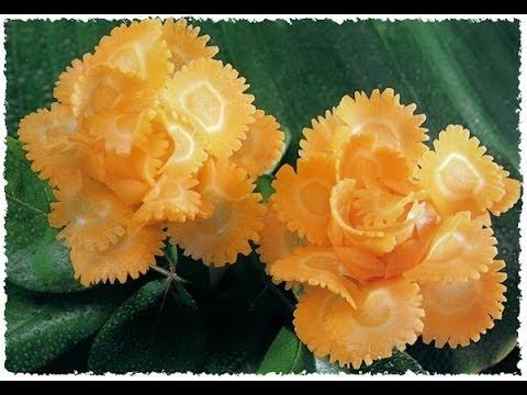 к сложной нарезке овощей относятся следующие формы. Смотреть фото к сложной нарезке овощей относятся следующие формы. Смотреть картинку к сложной нарезке овощей относятся следующие формы. Картинка про к сложной нарезке овощей относятся следующие формы. Фото к сложной нарезке овощей относятся следующие формы