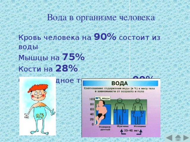 Вода в организме человека Кровь человека на 90% состоит из воды Мышцы на 75% Кости на 28% Стекловидное тело глаза на 99% 