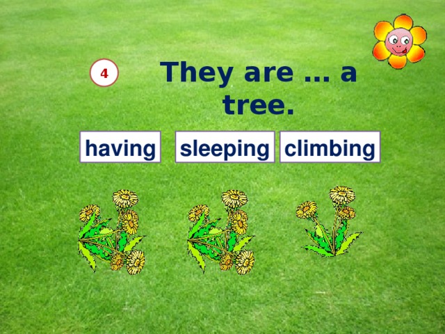 They are … a tree. 4 having sleeping climbing 12 