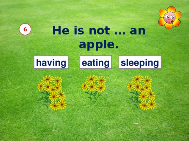 He is not … an apple. 6 having eating sleeping 12 