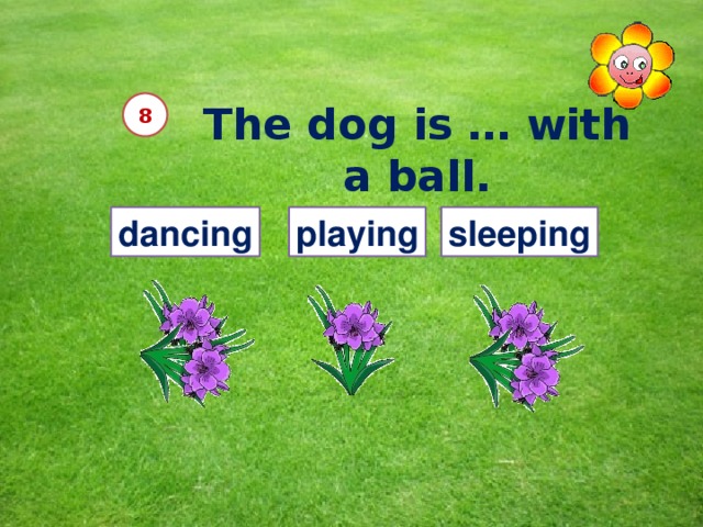 The dog is … with a ball.  8 dancing playing sleeping 12 