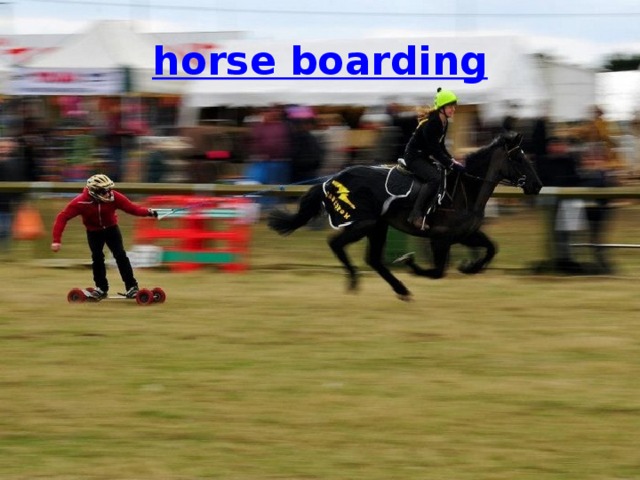 horse boarding 