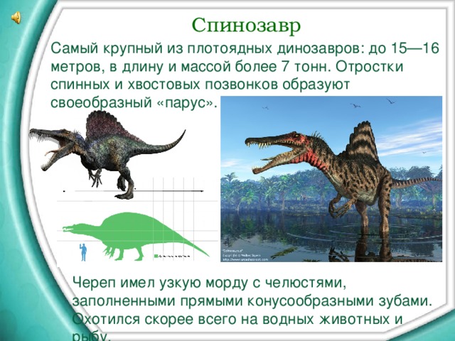 Динозавры картинки с описанием для детей