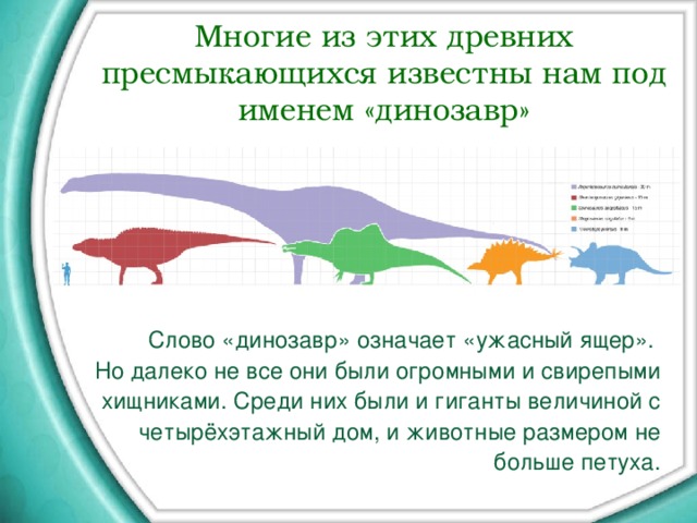 Динозаврики текст. Что означает слово динозавр. Сообщение по биологии о древних пресмыкающихся. Текст про динозавров. Динозавр значение слова.