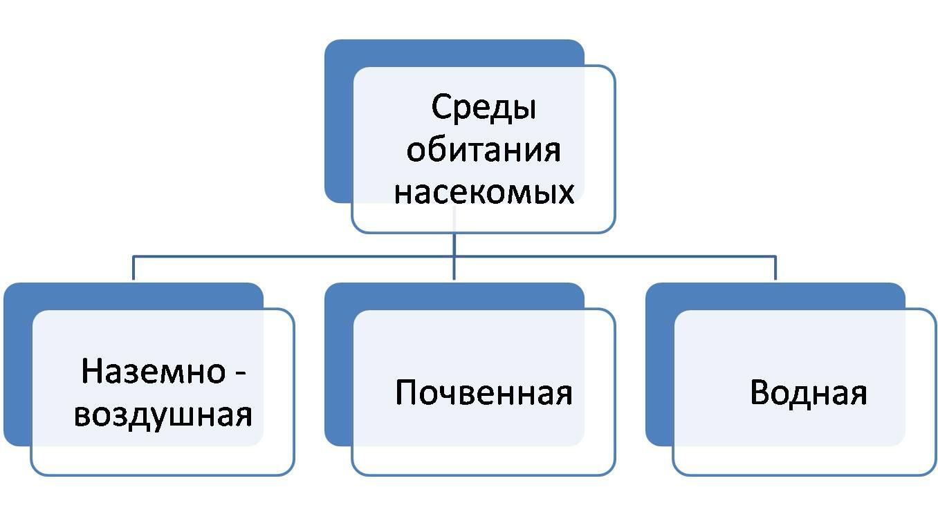 Насекомые среда обитания. Сорина обитания насекомых. Среда обитания насекомых таблица. Среда обитания насекомых для детей. Среда обитания насекомых схема.