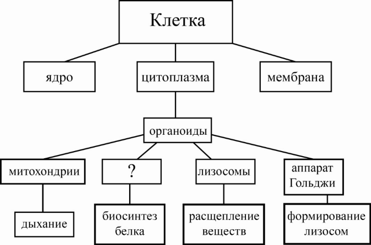 На основе изученного материала дополните предложенную схему