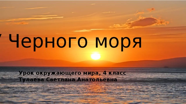 У черного моря окружающий мир 4