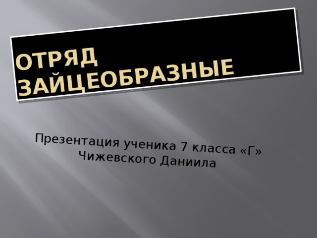 Отряд Зайцеобразные Презентация ученика 7 класса «Г» Чижевского Даниила 
