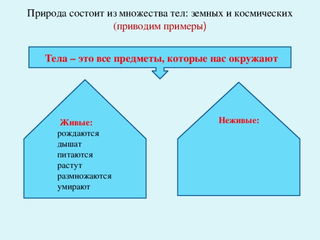 Из чего состоит природа. Приведи примеры космических тел. Природа состоит из. Природа состоит из множества.