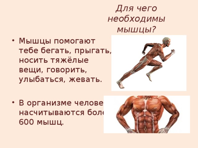 Каково значение мышечного чувства людей разных профессий. Мышцы человека презентация. Доклад "работа мышц. Для чего нужны мышцы. Мышцы человека 2 класс.