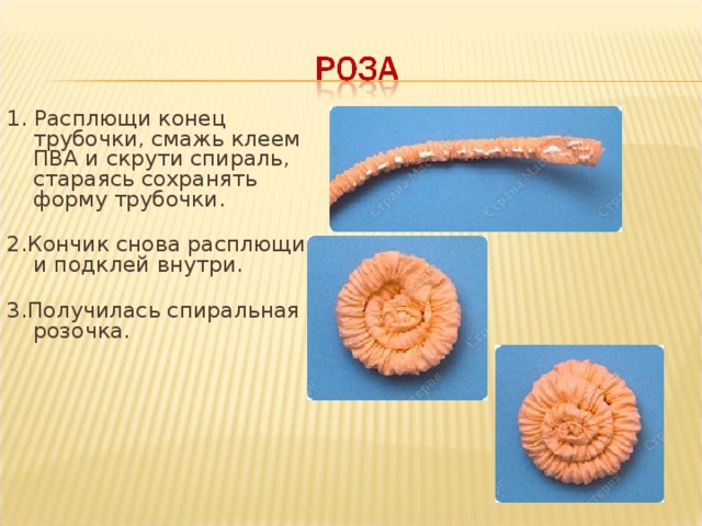 1. Расплющи конец трубочки, смажь клеем ПВА и скрути спираль, стараясь сохранять форму трубочки.   2.Кончик снова расплющи и подклей внутри.   3.Получилась спиральная розочка.     