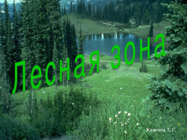 Жвакина Т. Г. 