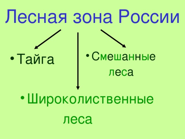 Лесная зона России С м е ш а н н ы е  л е с а Тайга Широколиственные  леса 
