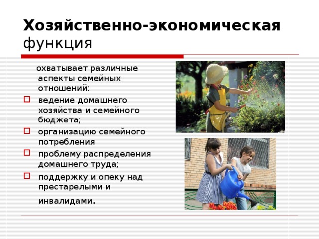 Хозяйственно-экономическая функция  охватывает различные аспекты семейных отношений: ведение домашнего хозяйства и семейного бюджета; организацию семейного потребления проблему распределения домашнего труда; поддержку и опеку над престарелыми и инвалидами . 