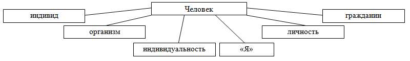 Дополните схему человек индивид личность