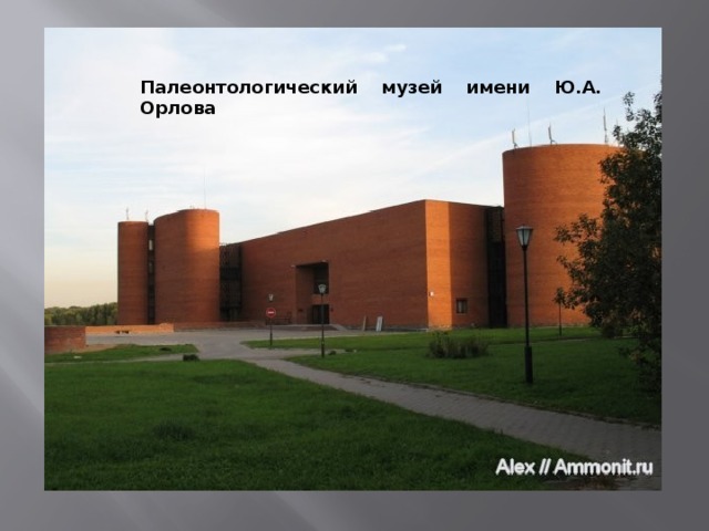 Палеонтологический музей имени Ю.А. Орлова 