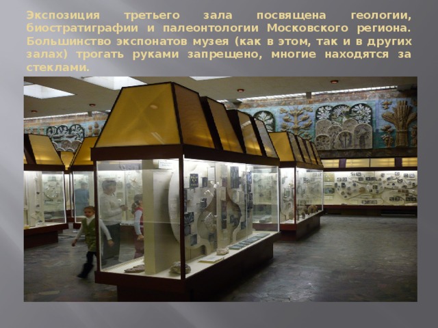 Экспозиция третьего зала посвящена геологии, биостратиграфии и палеонтологии Московского региона. Большинство экспонатов музея (как в этом, так и в других залах) трогать руками запрещено, многие находятся за стеклами. 