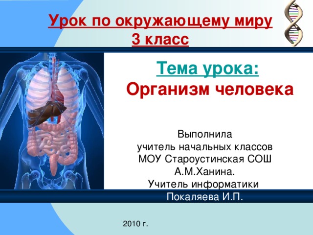 Как работает наш организм 3 класс окружающий мир перспектива презентация