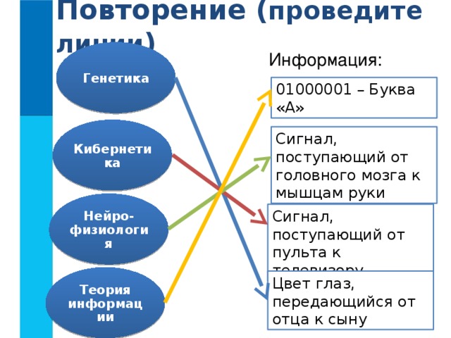 Линии информации