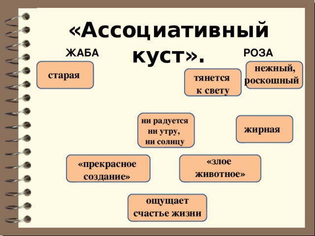 Гаршин жаба и роза презентация