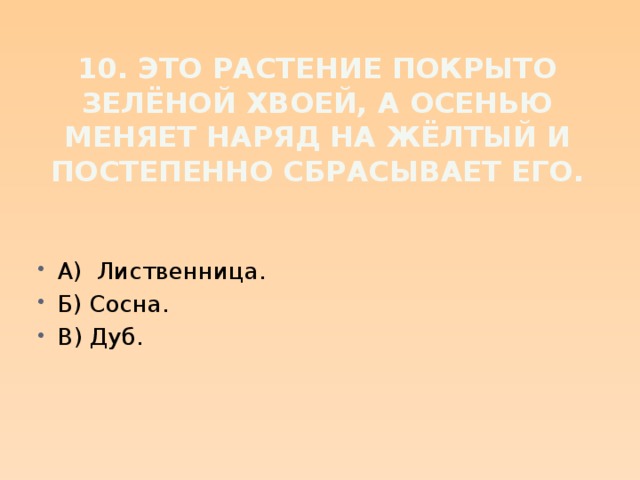 10. Это растение покрыто зелёной хвоей, а осенью меняет наряд на жёлтый и постепенно сбрасывает его.