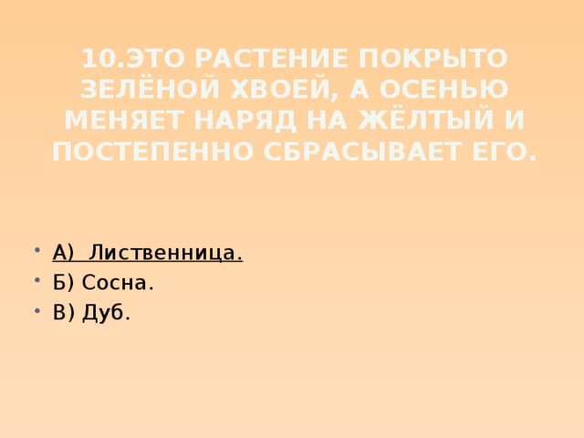 10.Это растение покрыто зелёной хвоей, а осенью меняет наряд на жёлтый и постепенно сбрасывает его.