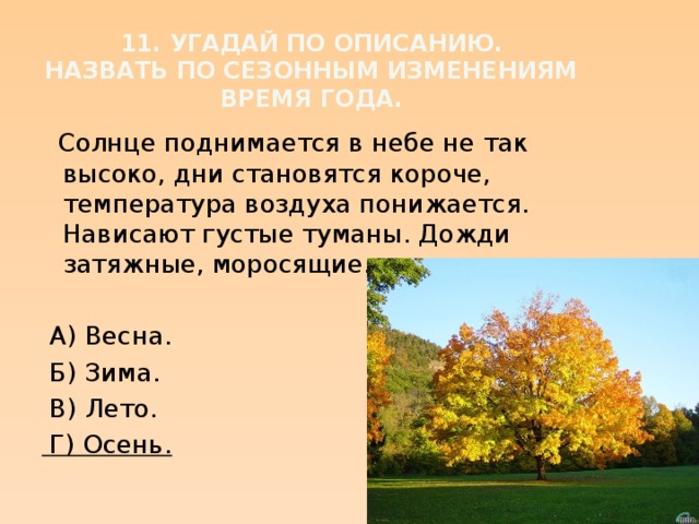 Годовой исследовательский проект сезонных изменений 2 класс