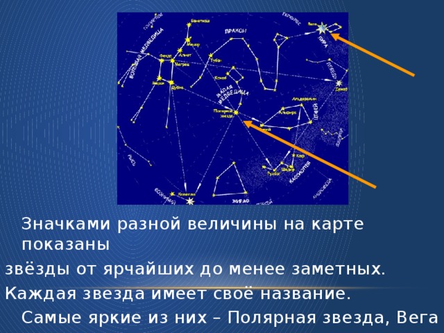 Полярная звезда карта. Полярная звезда на карте звездного неба. Звездная величина полярной звезды. Самые яркие звезды имеют собственные названия. Звезда Вега на карте звездного неба.