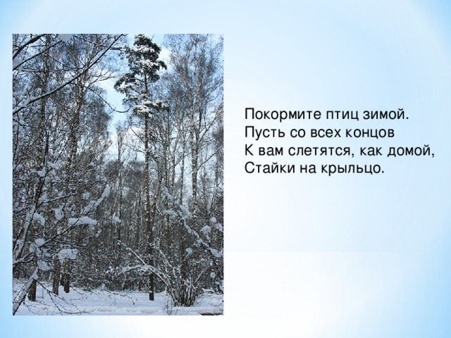 Покормите птиц зимой.  Пусть со всех концов  К вам слетятся, как домой,  Стайки на крыльцо. 