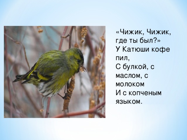 «Чижик, Чижик, где ты был?»  У Катюши кофе пил,  С булкой, с маслом, с молоком  И с копченым языком.   