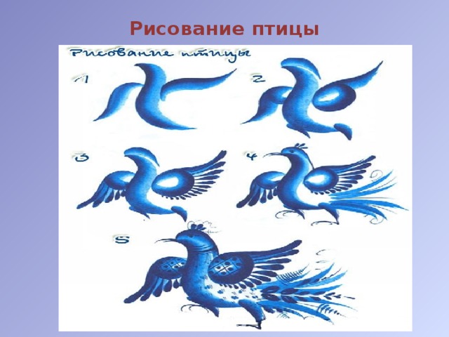 Рисование птицы 