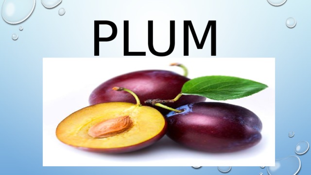 plum 