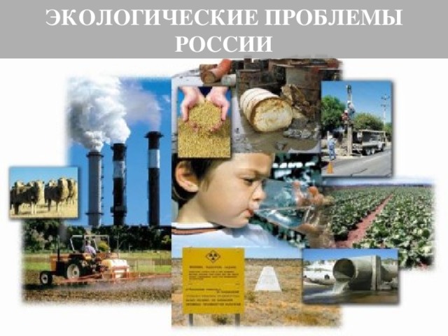 ЭКОЛОГИЧЕСКИЕ ПРОБЛЕМЫ РОССИИ Экологические проблемы России 