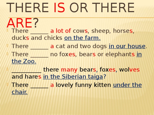 There is there are в английском языке презентация
