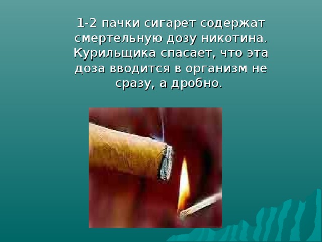1-2 пачки сигарет содержат смертельную дозу никотина. Курильщика спасает, что эта доза вводится в организм не сразу, а дробно.  