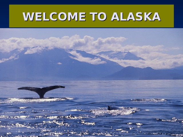 WELCOME TO ALASKA 