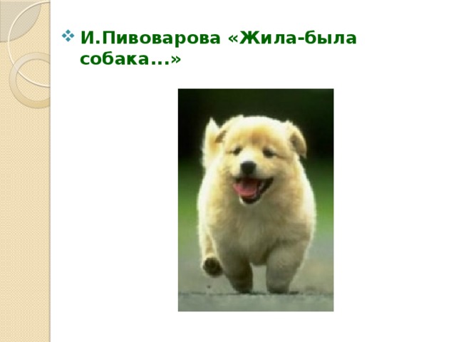 И.Пивоварова «Жила-была собака...»