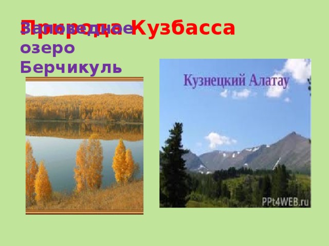 Красная книга Кемеровской области - Мои файлы - Презентации по экологии - Эко-Го