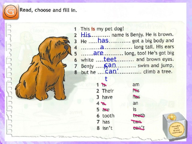 Pet reading 5. Read this!. My Pet 5 класс Spotlight. This is my Pet Dog 3 класс. Английские язык 2 класс my Pet.
