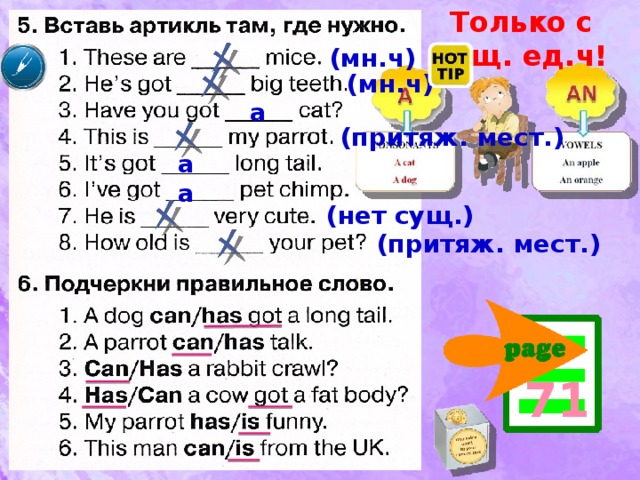 Вставь слова can has got или is образец nick is sad