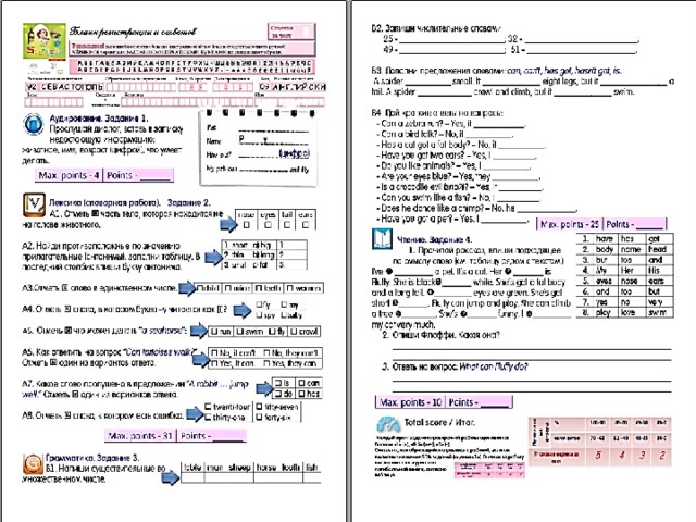 Test 3 form. Spotlight 5 модуль 3. Тест 