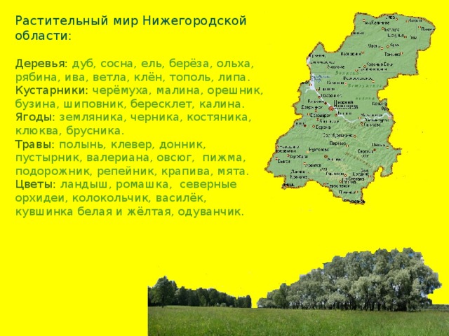 Проект по окружающему миру 4 класс наш край нижегородская область