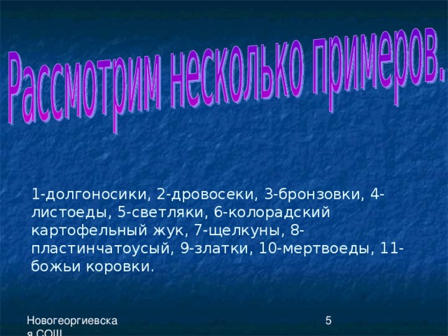 1-долгоносики, 2-дровосеки, 3-бронзовки, 4-листоеды, 5-светляки, 6-колорадский картофельный жук, 7-щелкуны, 8-пластинчатоусый, 9-златки, 10-мертвоеды, 11-божьи коровки. 