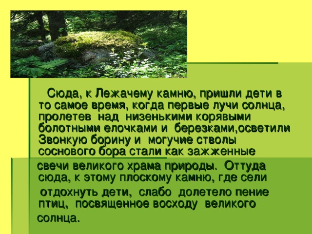 Сюда, к Лежачему камню, пришли дети в то самое время, когда первые лучи солнца, пролетев над низенькими корявыми болотными елочками и березками,осветили Звонкую борину и могучие стволы соснового бора стали как зажженные  свечи великого храма природы. Оттуда сюда, к этому плоскому камню, где сели  отдохнуть дети, слабо долетело пение птиц, посвященное восходу великого  солнца.