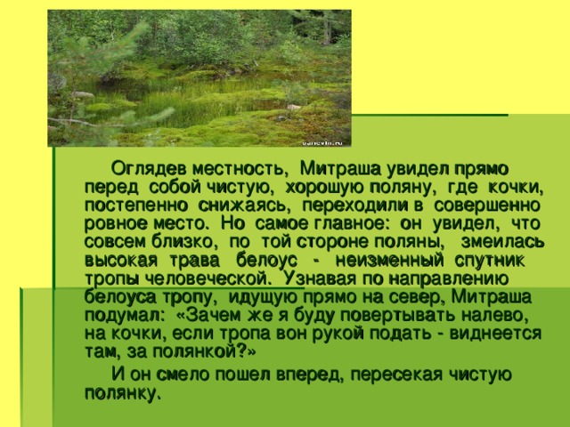 Оглядев местность, Митраша увидел прямо перед собой чистую, хорошую поляну, где кочки, постепенно снижаясь, переходили в совершенно ровное место. Но самое главное: он увидел, что совсем близко, по той стороне поляны, змеилась высокая трава белоус - неизменный спутник тропы человеческой. Узнавая по направлению белоуса тропу, идущую прямо на север, Митраша подумал: «Зачем же я буду повертывать налево, на кочки, если тропа вон рукой подать - виднеется там, за полянкой?»  И он смело пошел вперед, пересекая чистую полянку.