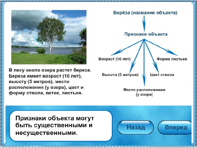 Признаки озера. Назовите главный признак озера:. Основные признаки озера. Признаки озера 6 класс география.